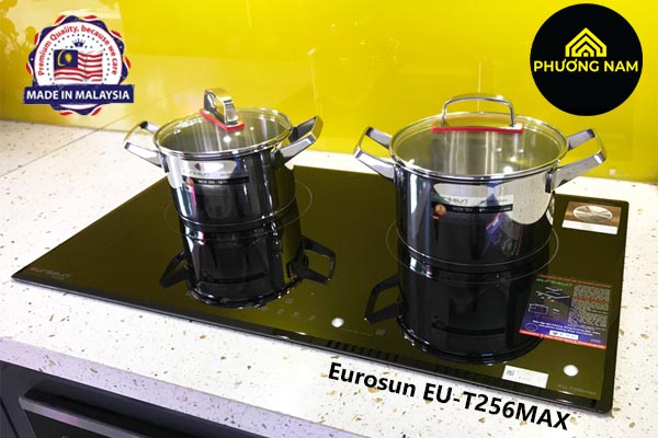 Bếp Từ Eurosun EU-T256MAX hiện đại